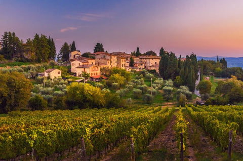 An Introduction to Italian Wine: Chianti