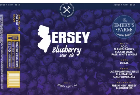 902 Brewing Jersey Blueberry Sour Ale 16oz