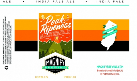 Magnify Peak of Ripeness (4pk 16oz cans)